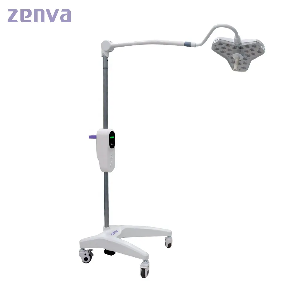 Mobile Hospital Surgical Portable Medical Mobile Ceiling Two Domes Led Operating Lamp for Theater Lighting