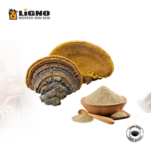 Proveedor de Malasia: Polvo de Extracto Herbal de Sang Huang LiGNO SH02 de la Más Alta Pureza, Material a Granel para Cosméticos de Marca OEM - Product Image 1