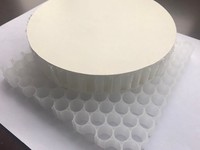 Fournisseur d'usine Panneau de nid d'abeille en PP pour matériaux de construction