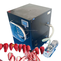 Op maat gemaakte 4-6kg roestvrijstalen vacuümvriesdroogmachine met laag energieverbruik voor fruit, groenten, huisdieren & vleesverwerking
