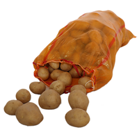 Sacs tissés transparents réutilisables pour légumes avec bordures colorées - Parfaits pour la récolte des carottes et la présentation en marché