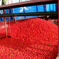 Automatisering 1 ton per uur industriële tomatenpuree NFC-sap ketchup saus productielijn