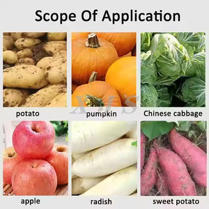 Machine à granulés de fumier de poulet à haute efficacité broyeur de fourrage de légumes bétail porc alimentation broyeur à marteaux citrouille chou déchiquetage - Product Image 6