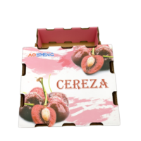 Boîtes d'emballage rigides en carton ondulé personnalisées en usine, carton pour fruits et légumes, matériaux recyclés pour les cerises