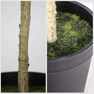 Nouvel Arbre <span class=keywords><strong>d</strong></span>'<span class=keywords><strong>Olivier</strong></span> Artificiel 2026 en Gros Usine, Feuilles Faux-Plantes de Haute Qualité pour la <span class=keywords><strong>D</strong></span>écoration Maison, Bureau, Hôtel - Product Image 6