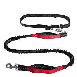 Ready To Ship Dual Ordinary Handles Reflective Dog Leash Set Without Waist Bag