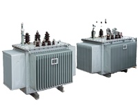 Yağlı Tip Üç Fazlı 60/50Hz S11 Model 6kv Dağıtım Trafosu Patlamaya Dayanıklı Tam Sızdırmaz Yüksek Verimli Madencilik İçin