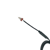 Sonde de niveau de liquide compacte et mini, diamètre 4 mm, 120°C, longueur personnalisable, résistante à la corrosion, haute précision numérique