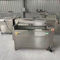 Automatische aardappel-, wortel- en gemberwasser en -schiller voor gember