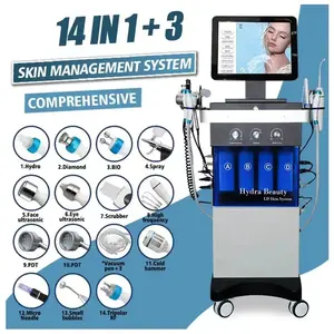 Top Quality 14 in 1 Oxygen Jet Oem Hydra Diamond Facial Aqua Peeling Skin Care Cleaning Hydra Dermabrasion Facial Machine