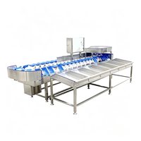 Industriële automatische weegsorteermachine voor uien, aardappelen, vis en fruit