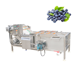 Macchina Automatica per Pulizia e Lavaggio di Verdure con Spazzola a Rullo da 1,5 kW per Carote, Cipolle, Manioca e Radici - Product Image 5