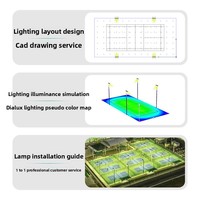 Luminaires LED à poteaux hauts pour terrains de pickleball et de tennis intérieurs/extérieurs, étanches IP65, polarisés, anti-éblouissement, 5700K, 36000LM