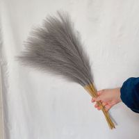 55CM Pampas Herbe Nordique Boho Décoration Artificielle Quenouille Artificielle Herbe De Roseau