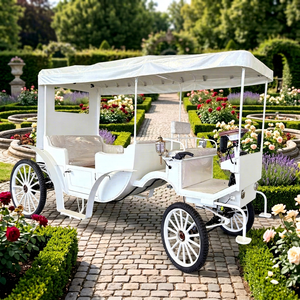 Carroza Eléctrica de Doble Fila para Turismo, Estilo Simple en Blanco Puro, Carroza Eléctrica de Lujo, Autobús Turístico para Bodas, Gran Venta - Product Image 1