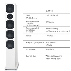 Sistema de Música Familiar DEKEN de 5.1 Canales con Subwoofer Activo y Altavoces de Pie para Sala de Estar y Cine en Casa - Product Image 6