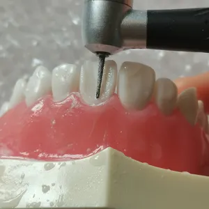 Diş Typodont yedekler reçine çıkarılabilir diş ayrılabilir modeli diş hekimi Oral öğretim tıbbi eğitim ekipmanları
