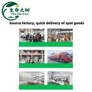 <span class=keywords><strong>Gélatine</strong></span> de pâtisserie de qualité supérieure, résistante à la chaleur, soluble, choix idéal pour la décoration de gâteaux, épaississant de qualité alimentaire - Product Image 3