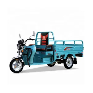 Fully Enclosed Moped Long Range Passenger Three Wheel Scooter Electric Tricycles for cargo with cabin