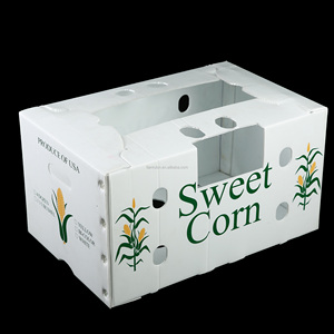 Customized Plastic Corrugated sheet Box plastic coroplast Box Corflute sheet Box