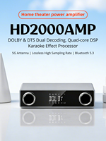 Nuevo Amplificador de Potencia Inalámbrico de Aluminio de Alta Calidad 2025 para Altavoces HiFi 5.1 y Decodificador DTS