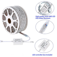Ruban LED RVB 5050 24V, Alimenté par USB, 12 LED/m, Télécommande IR 24 Touches, Rétroéclairage TV Blanc Chaud, Ruban LED Blanc Pur avec Télécommande 5m