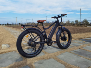Vélo de montagne électrique tout-terrain 7 vitesses, batterie lithium 48V 17.4Ah, moteurs <span class=keywords><strong>Bafang</strong></span> doubles, pneus larges - Product Image 4