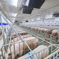 Solution complète Great Farm pour une ferme d'élevage de 50 truies, incluant la conception et la construction de plans standardisés