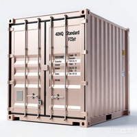 Conteneur maritime sec bleu de 20 pieds, robuste et anti-corrosion, pour la logistique maritime internationale