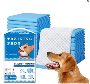 Pañal de moda para mascotas, almohadilla de entrenamiento para Cachorros para perros y <span class=keywords><strong>gatos</strong></span>, suministros para mascotas de entrenamiento - Product Image 1