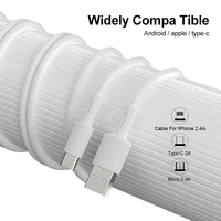 30 pièces d'accessoires de charge pour téléphone portable, boîte d'affichage de chargeur américain, câble USB 2.4A et kit d'écouteurs filaires