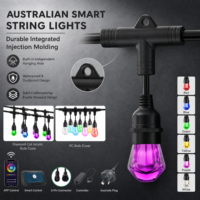 Guirlandes lumineuses intelligentes WiFi RGB, étanches IP65, approuvées SAA, pour décoration extérieure de patio, jardin, café, événements de mariage