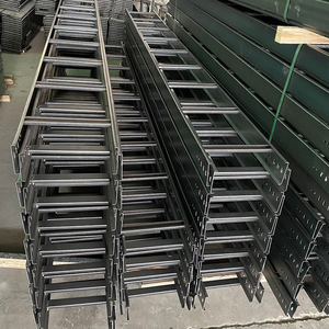 Échelle à câbles galvanisée pour extérieur Holdee 300 mm x 100 mm, usage moyen - 3 mètres - Product Image 6