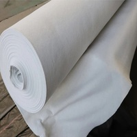 Géotextile non tissé blanc PP PE 100 g/m² en vente directe d'usine pour la construction routière, la protection des pentes et les parcs