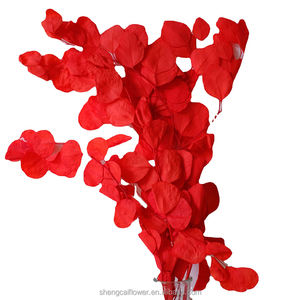 Naturale essiccato eucalipto populus foglie di mela tecnologia conservata essiccazione per fiori decorativi ghirlande e piante <span class=keywords><strong>rose</strong></span> - Product Image 2