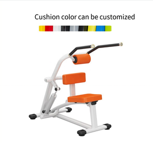 Gimnasio Mujeres Entrenamiento Cilindro hidráulico Equipo de fuerza Doble función Abdominal Crunch/Máquina de extensión de espalda - Product Image 6