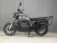 Electric Motorcycle 3000W 80km/h Adult 17 Inch High Carbon Steel Frame LED Headlight Disc Brake Hydraulic Suspension Cargo Rack