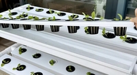 Système hydroponique UNIGREEN à canaux plats en PVC de grande taille, de qualité alimentaire, pour la culture de plantes en serre