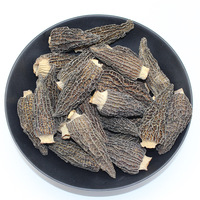 Prix Préférentiel Morilles de Haute Qualité, Champignons Morilles Cultivées Biologiques Séchées