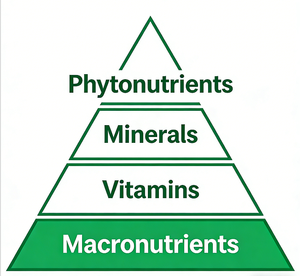 Capsules prébiotiques <span class=keywords><strong>probiotiques</strong></span> <span class=keywords><strong>pour</strong></span> la santé intestinale Formule quotidienne de soutien digestif naturel - Product Image 3