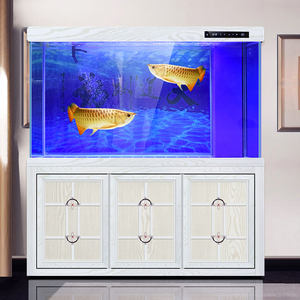 Groothandel Laag Ijzer Ultra Helder Glas <span class=keywords><strong>Aquarium</strong></span> Tank Met Bodem <span class=keywords><strong>Sump</strong></span> Filter & Aluminium Standaard Kast - Product Image 4