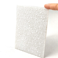 Panneau en polycarbonate vierge 100% gaufré effet diamant, protection UV, garantie 10 ans, design moderne durable, plaque en plastique pour