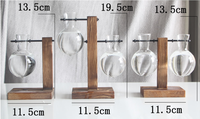 Vase à ampoule en verre Terrarium pour plantes de bureau, support en bois massif rétro, plantes hydroponiques pour la maison, le jardin, le bureau et le mariage