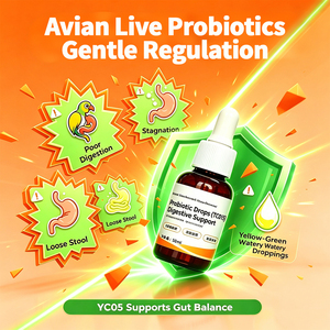 Probiótico Líquido para Loros y Aves, Levadura de Cerveza y Malta de <span class=keywords><strong>Cebada</strong></span> con Lactobacillus Acidophilus, Apoyo Digestivo e Inmunológico, 30 ml - Product Image 3