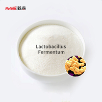 Probiótico de Alta Actividad, 100 Mil Millones de UFC, Lactobacillus Fermentum en Polvo Liofilizado CN/SHN