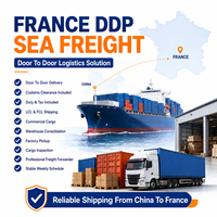 Agent maritime DDP France depuis la Chine pour le commerce électronique de meubles et le fret général via LCL+Express, transit en 25-45 jours avec assurance.