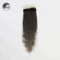 Venta al por mayor de plumas de cola de pavo naturales de 6-8 pulgadas decoraciones superventas fabricante superior chino envío rápido patrón lavado