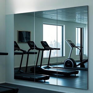 High-End <b>Wall</b> Decorative <b>Mirrors</b>: Dark Grey Silver, Blue &Dark Blue, Along with Gold - Colored and Bronze - Tinted Colored Glass - Product Image 3