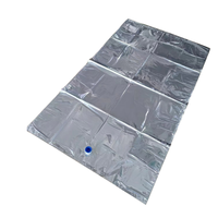 Sac en aluminium BIB 3L 5L 10L 220L avec robinet en plastique pour jus Bag-in-Box avec valve papillon, distributeur de vin Bag-in-Box