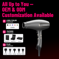 Sèche-cheveux professionnel FirePhoenix F3 MAX PRO OEM ODM 3000W BLDC à moteur sans balais, léger, séchage rapide pour salon